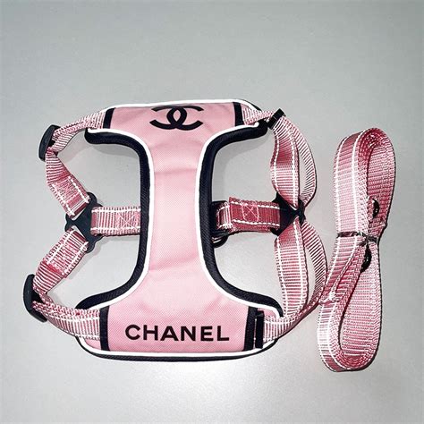 where to buy chanel dog bowl|chanel dog collar and leash.